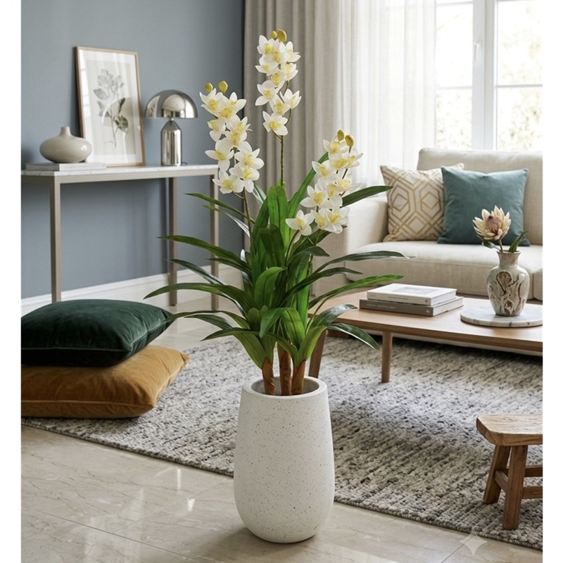 Chậu cây hoa địa lan trắng kèm chậu 1m35